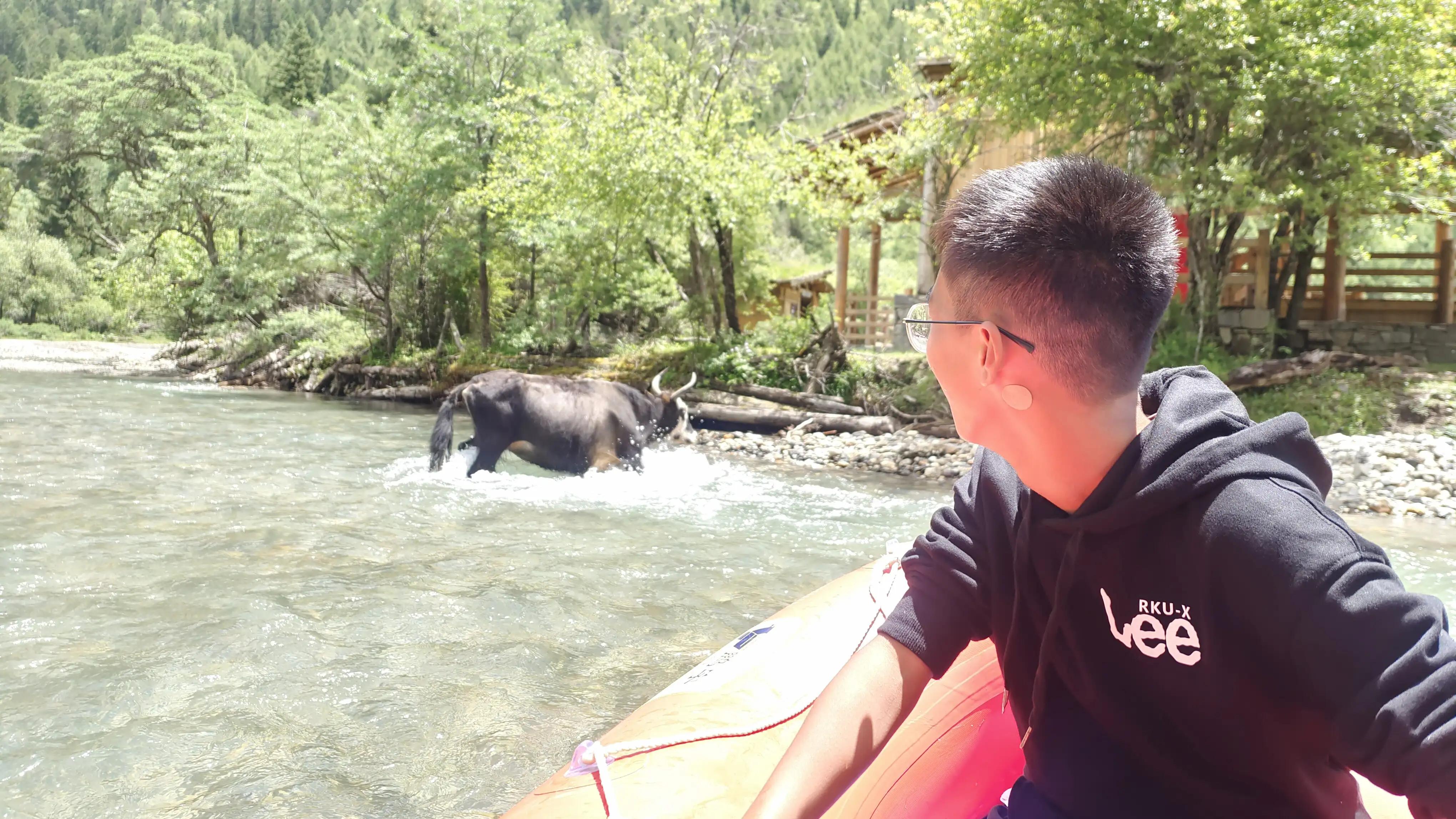 四川四姑娘山双桥沟图片,四姑娘山双桥沟最新视频