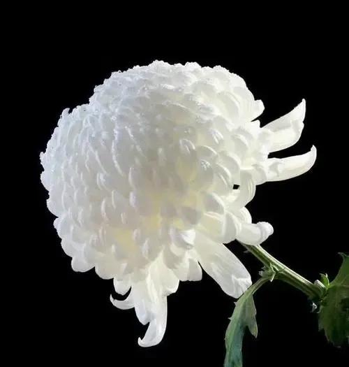 雪的记忆图片,一场雪的记忆