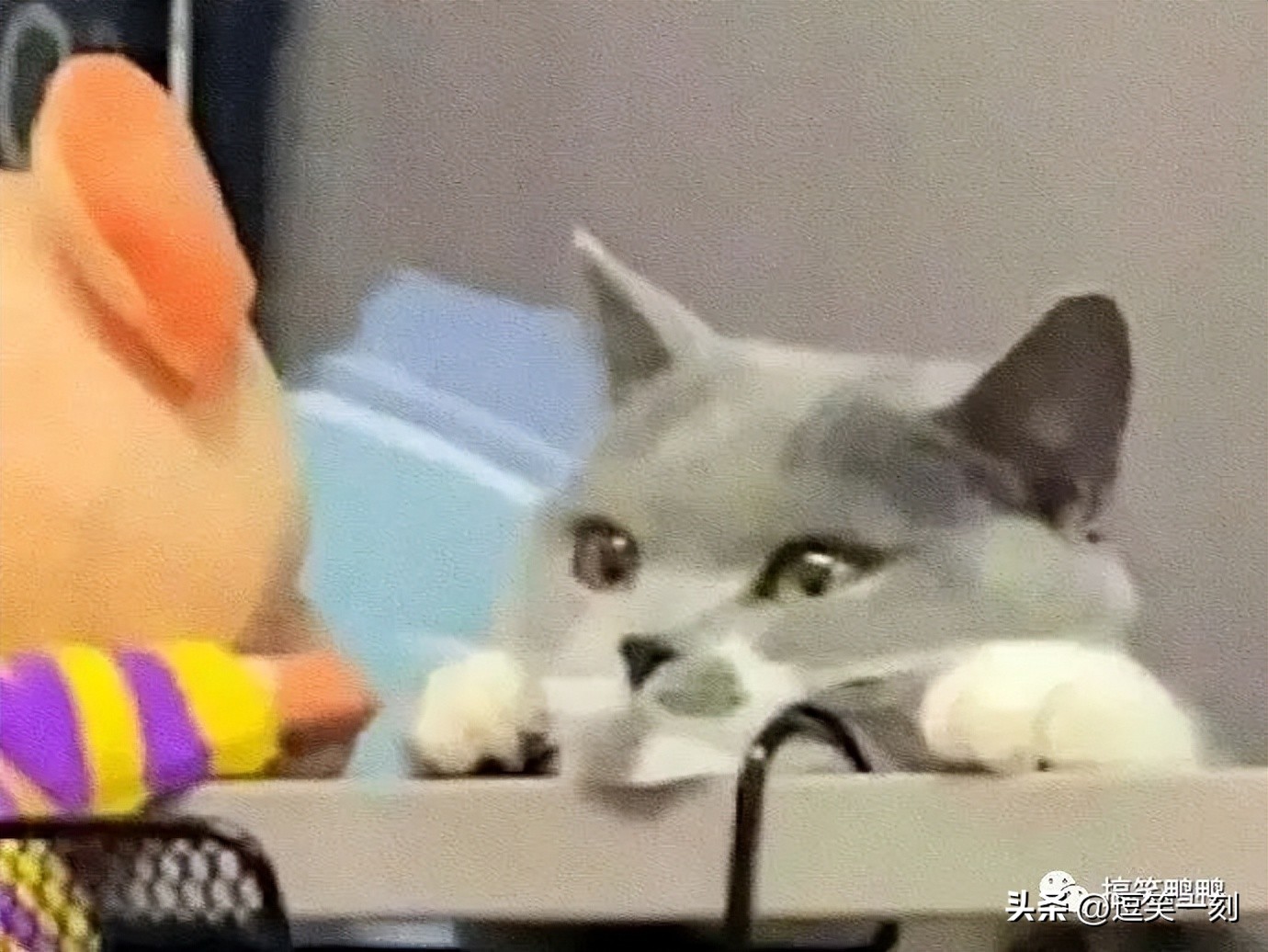 生日时送男朋友气垫？哈哈哈学会了，以后对象生日就这样整