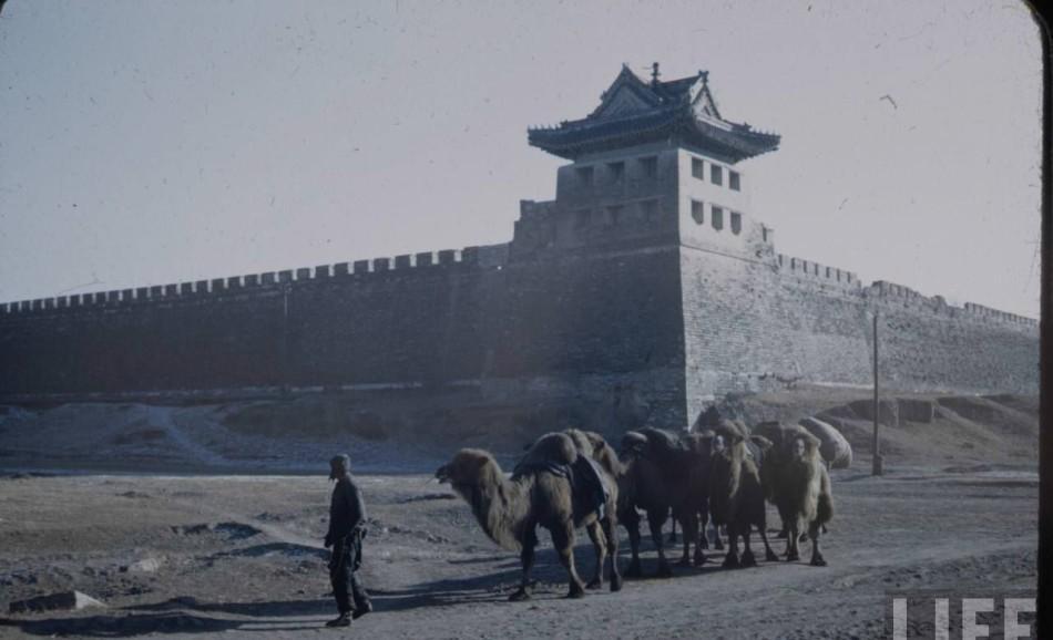 日军日记:男人饿倒在地,为了救他,我将他妻子的乳房割给他吃!