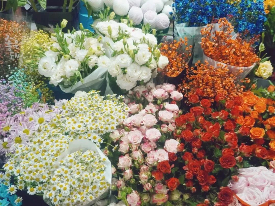 济南花市排名,济南赏花打卡地