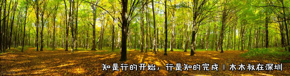 海洋王照明销售收入怎么样,海洋王照明销售待遇