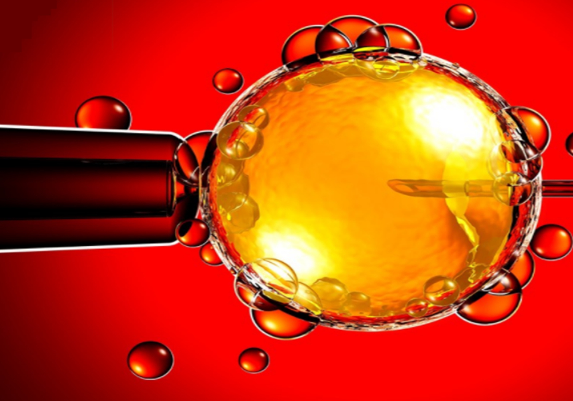 试管婴儿与自然受孕,试管婴儿成长过程与正常婴儿区别