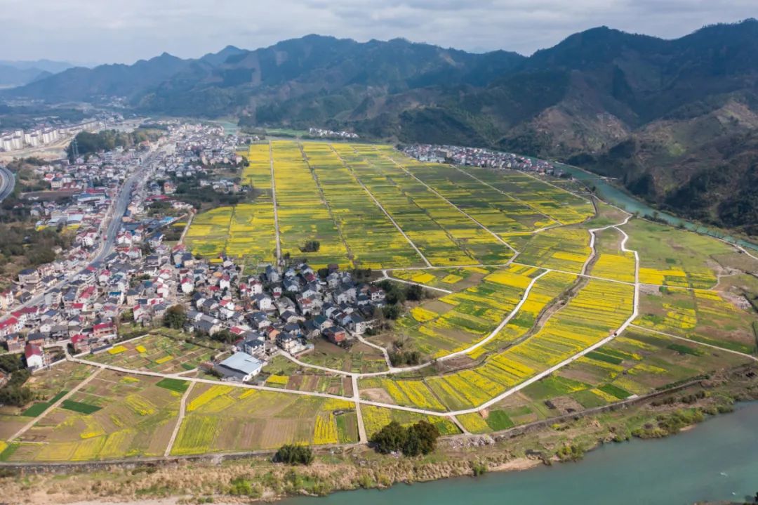 “村投公司”存在哪些痛点？如何破解？