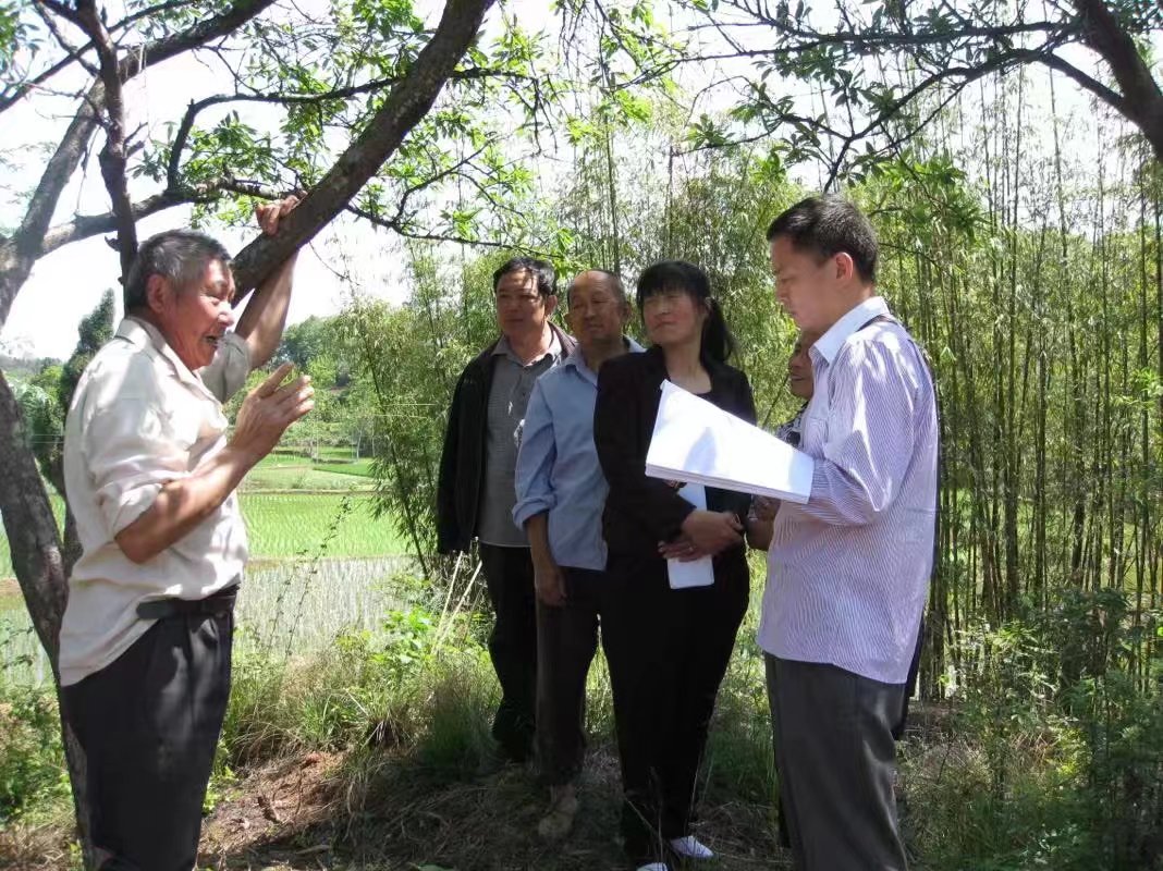 宁化谢氏寻根寻亲信息,谢氏寻根寻祖