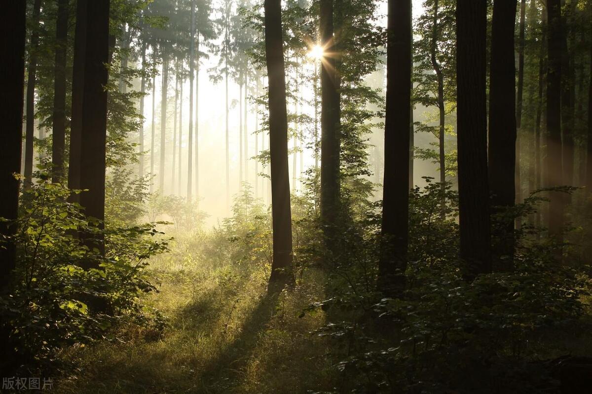 人的心理状态对事故发生的影响,易引发事故的心理状态有哪些