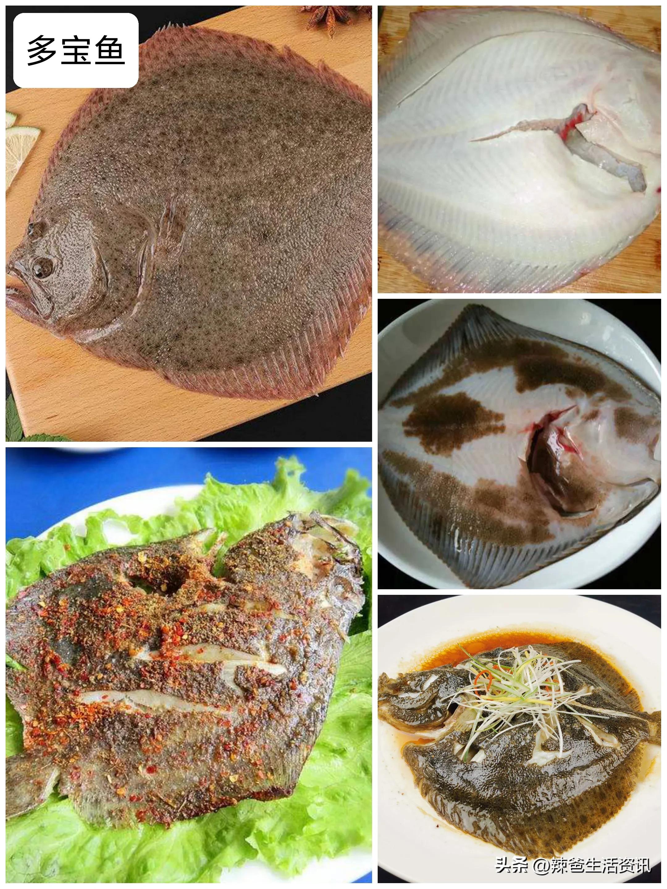 好吃不贵的野生海鱼,十种好吃不贵的正宗海鱼