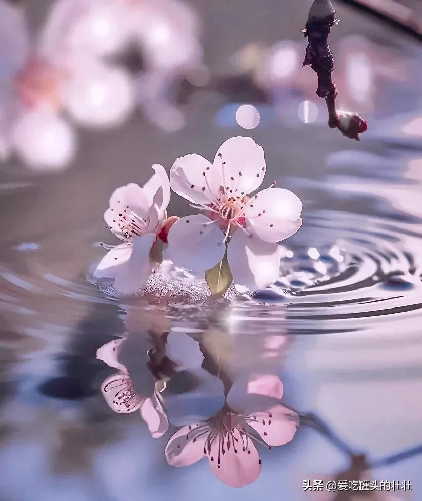 家庭水池养什么聚财,家庭不聚财的风水