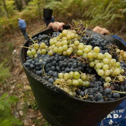 你所不知道的国家冷知识西班牙,西班牙语30秒认识西班牙冷知识