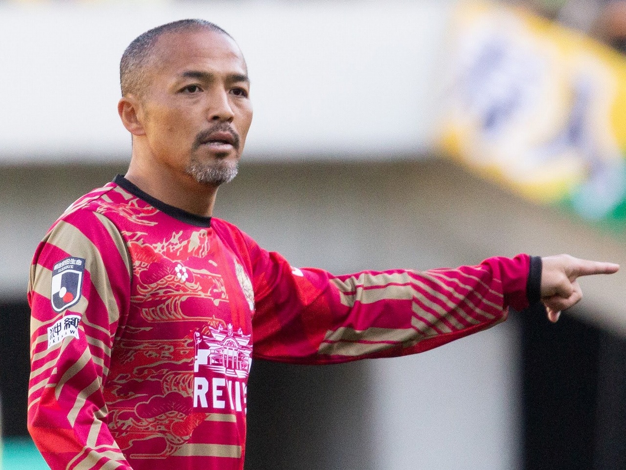 伊布最后一次的世界杯,伊布退役4k