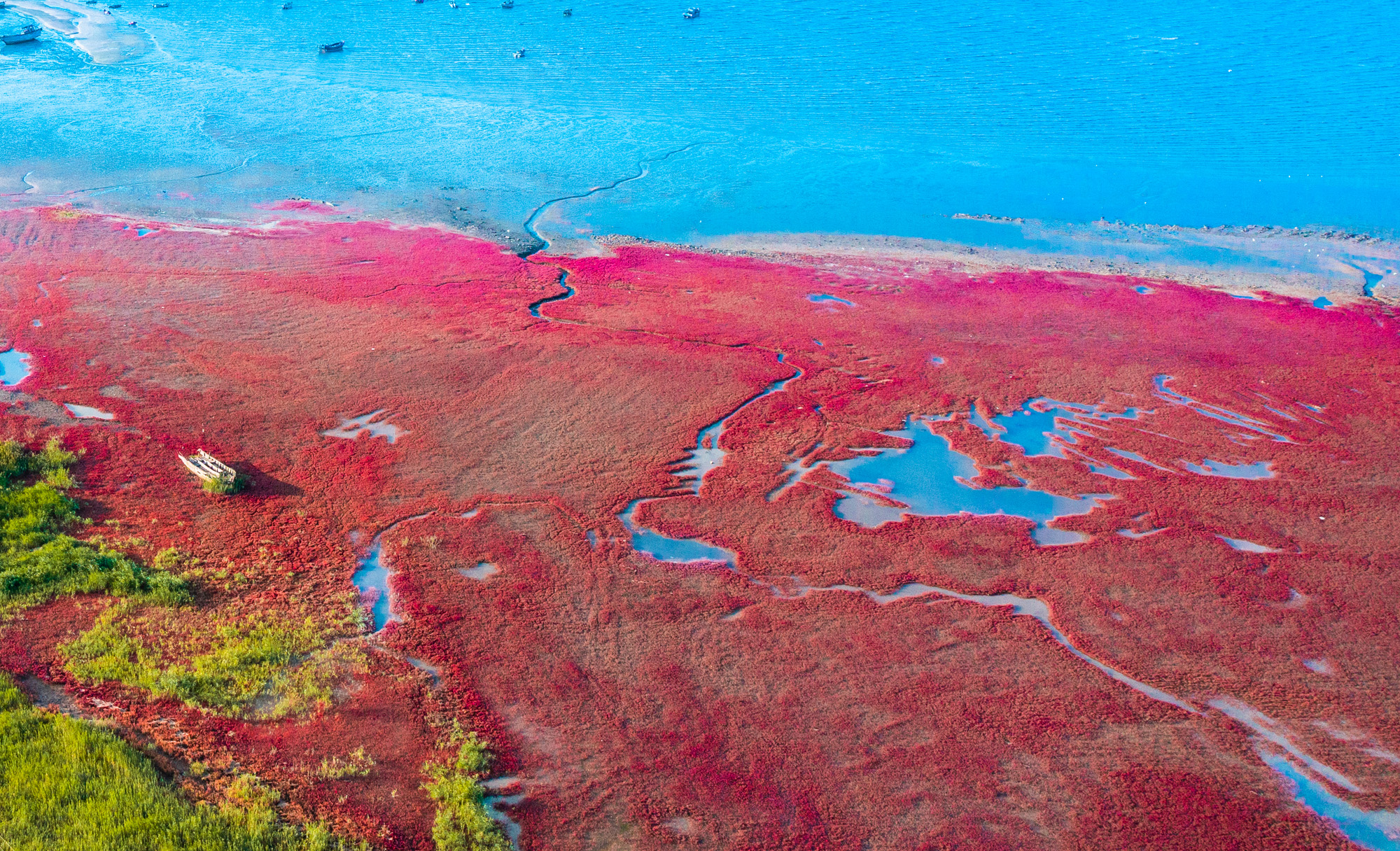 营口文化与美食,营口自然风景