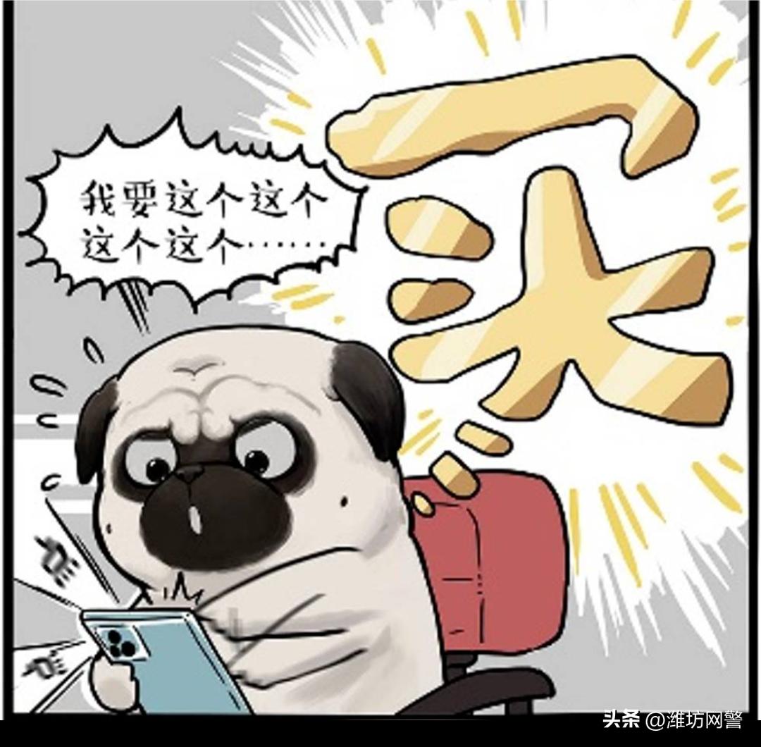 千层套路完整版,历史的千层套路