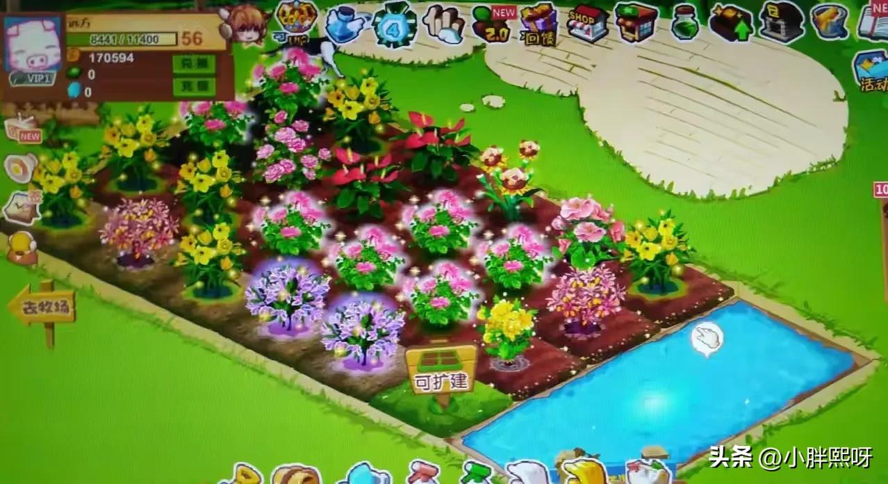 那年夏天，我们调好闹钟偷菜