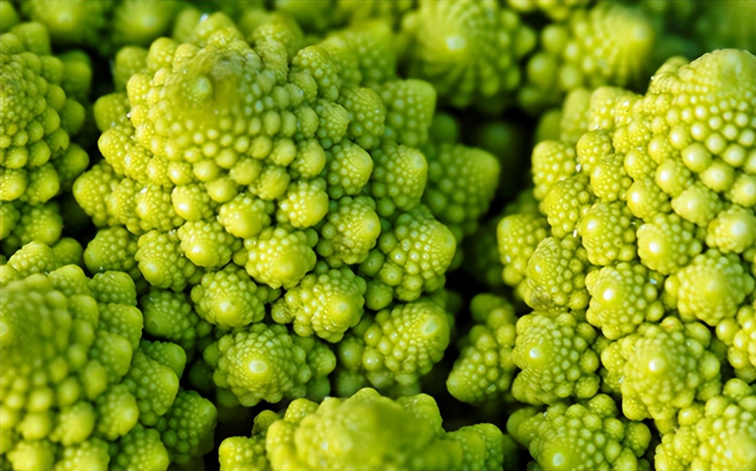 英国蔬菜价格最新行情,英国蔬菜沙拉视频