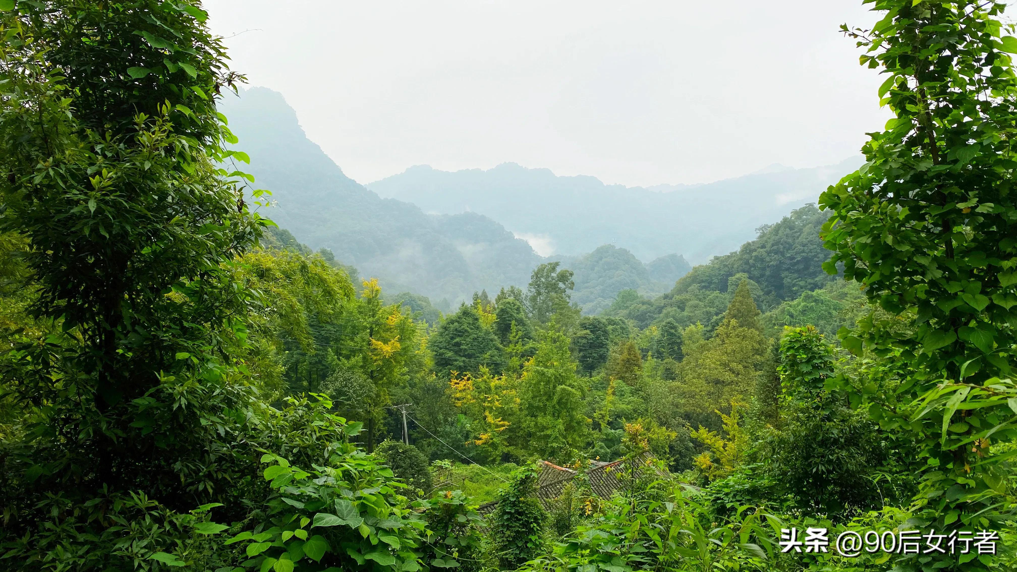 走进山间的小路感受大自然,成都深山老林旅游最好去处