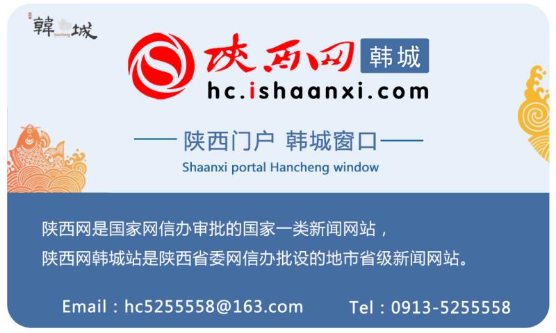 梁带村芮国博物馆文物,梁带河芮国遗址图片