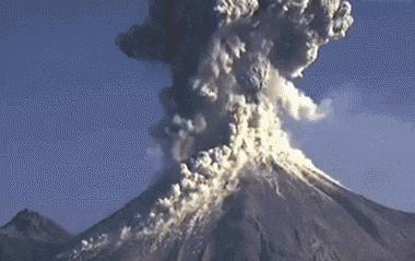 精子进入人体48小时变化,精子在人体24个小时都经历了什么