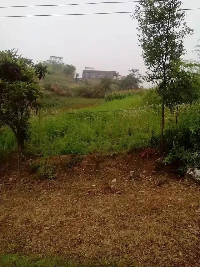 在外打工的母亲写给儿子的一封信,一个打工妈妈写给上初中儿子的信