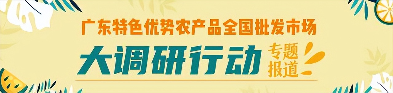 深圳海吉星菠萝一斤多少钱,平湖海吉星菠萝批发