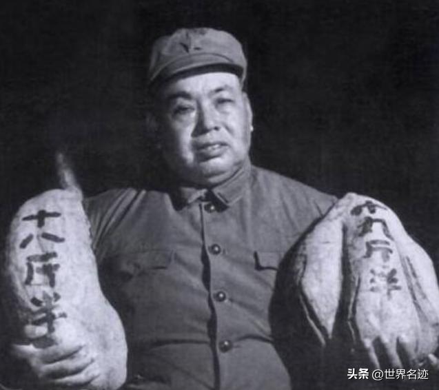 1980年*国锋华**视察南京军区，*世友许**称病不见，*国锋华**亲自登门拜访