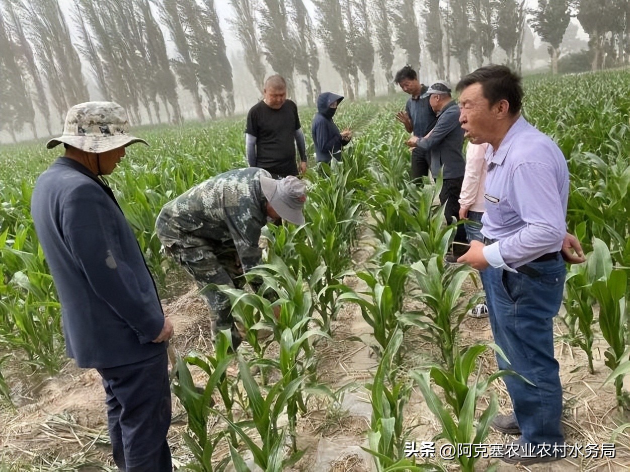 农机中心三抓三促行动方案,落实三抓三促推动基层农技推广