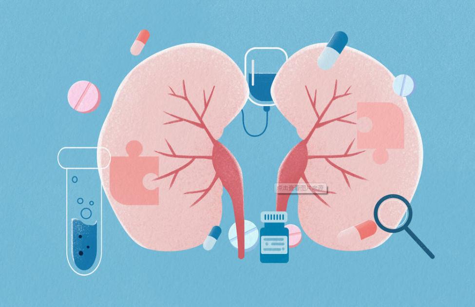 糖友蛋白尿是尿毒症前兆吗,糖友要警惕糖尿病两种并发症