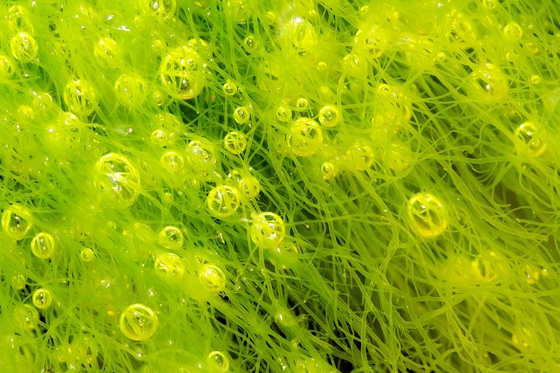 泳池的水有多脏,游泳怎么样可以防止下体进水感染