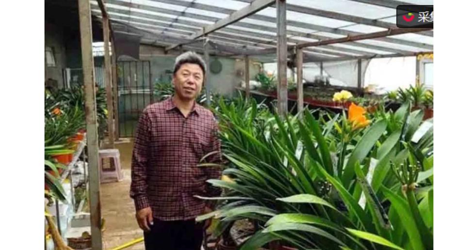 知青事件,知青往事真实故事