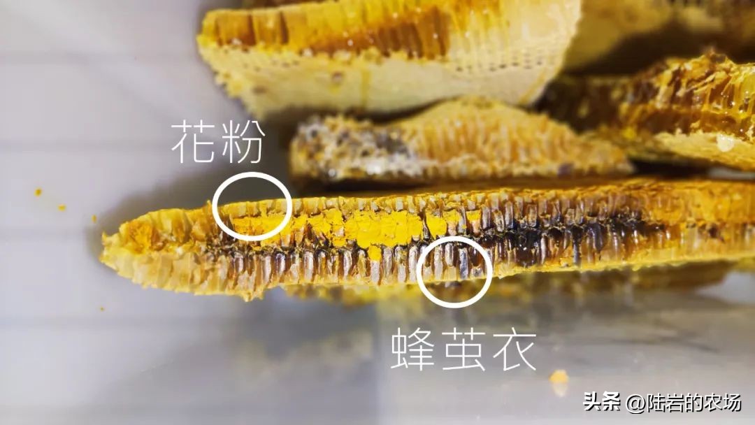 盘点市面五种常见蜂巢