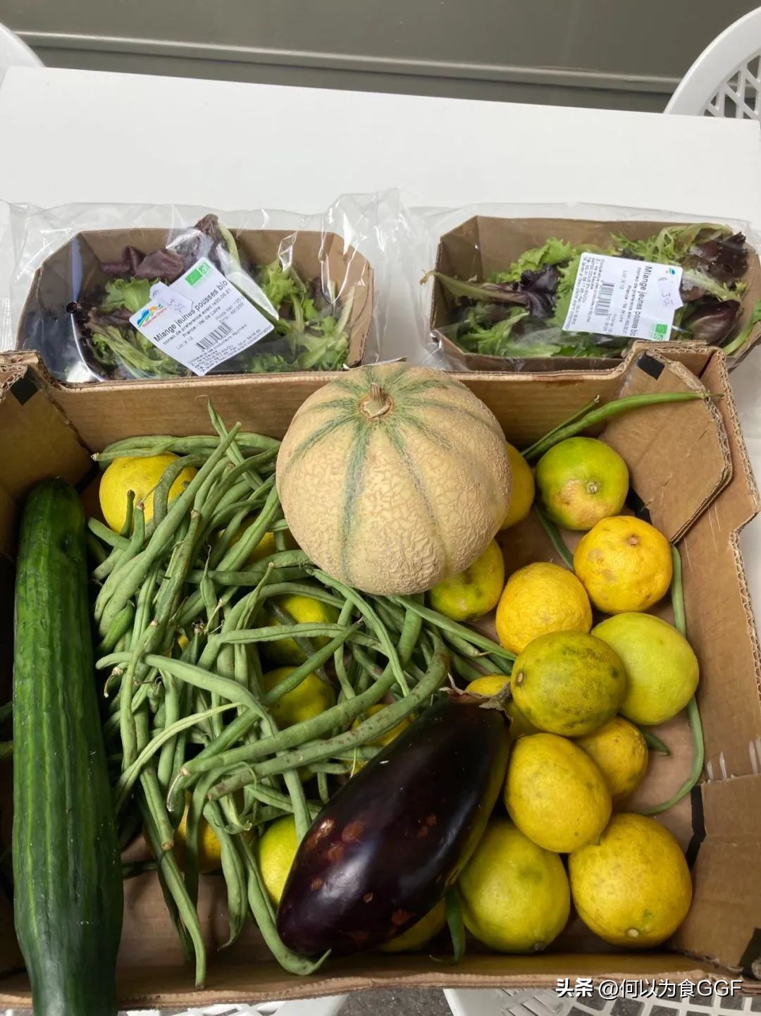 我在法国捡海鲜,我在欧洲捡垃圾