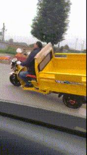 “是小蛇出了轨，还是青蛙劈了腿？”这是现实版的美杜莎？哈哈