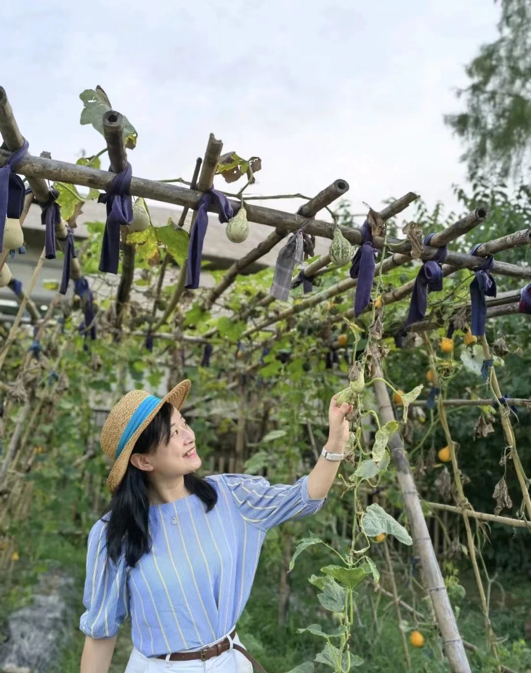 终于去了“中国本土版ClubMed”,乌村也太好玩了吧