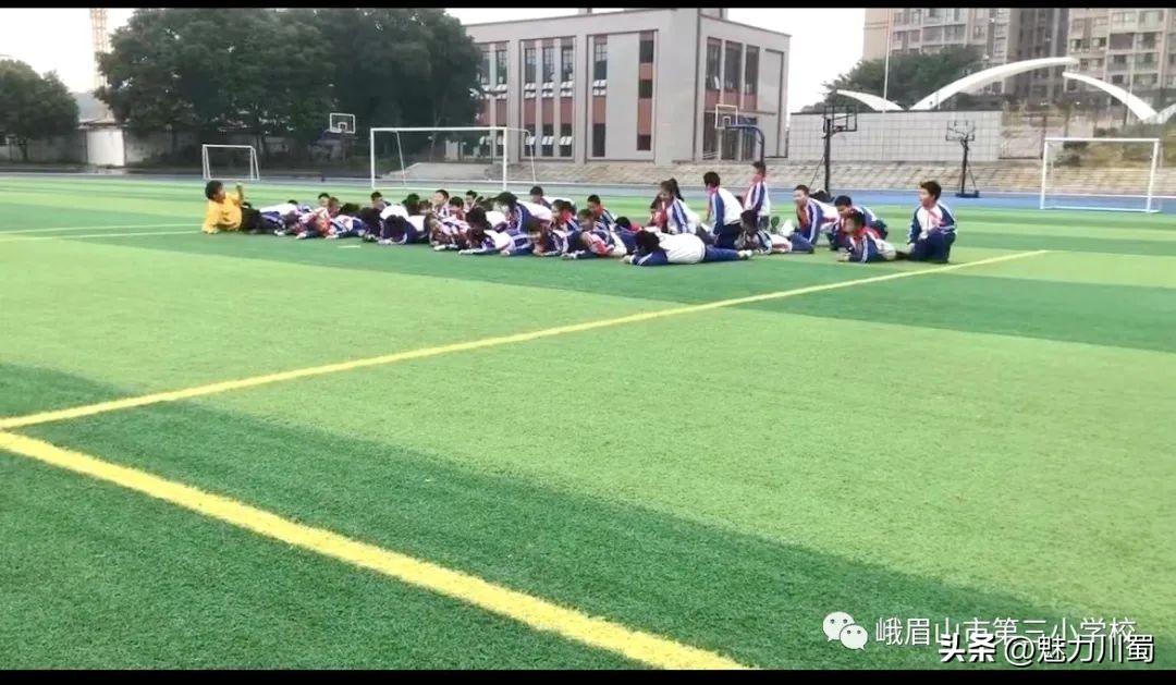 小学体育大单元教学实施效果,小学体育新课标大单元教学计划