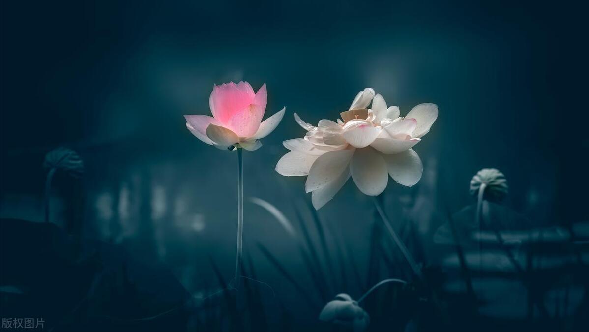 如何去香港澳门旅行,到香港澳门4天旅游