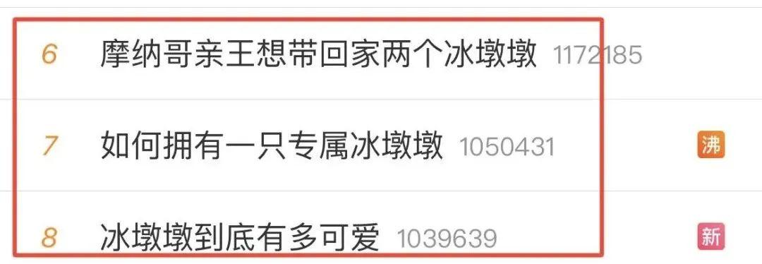 抓冰墩墩,抓冰墩墩属于违法吗