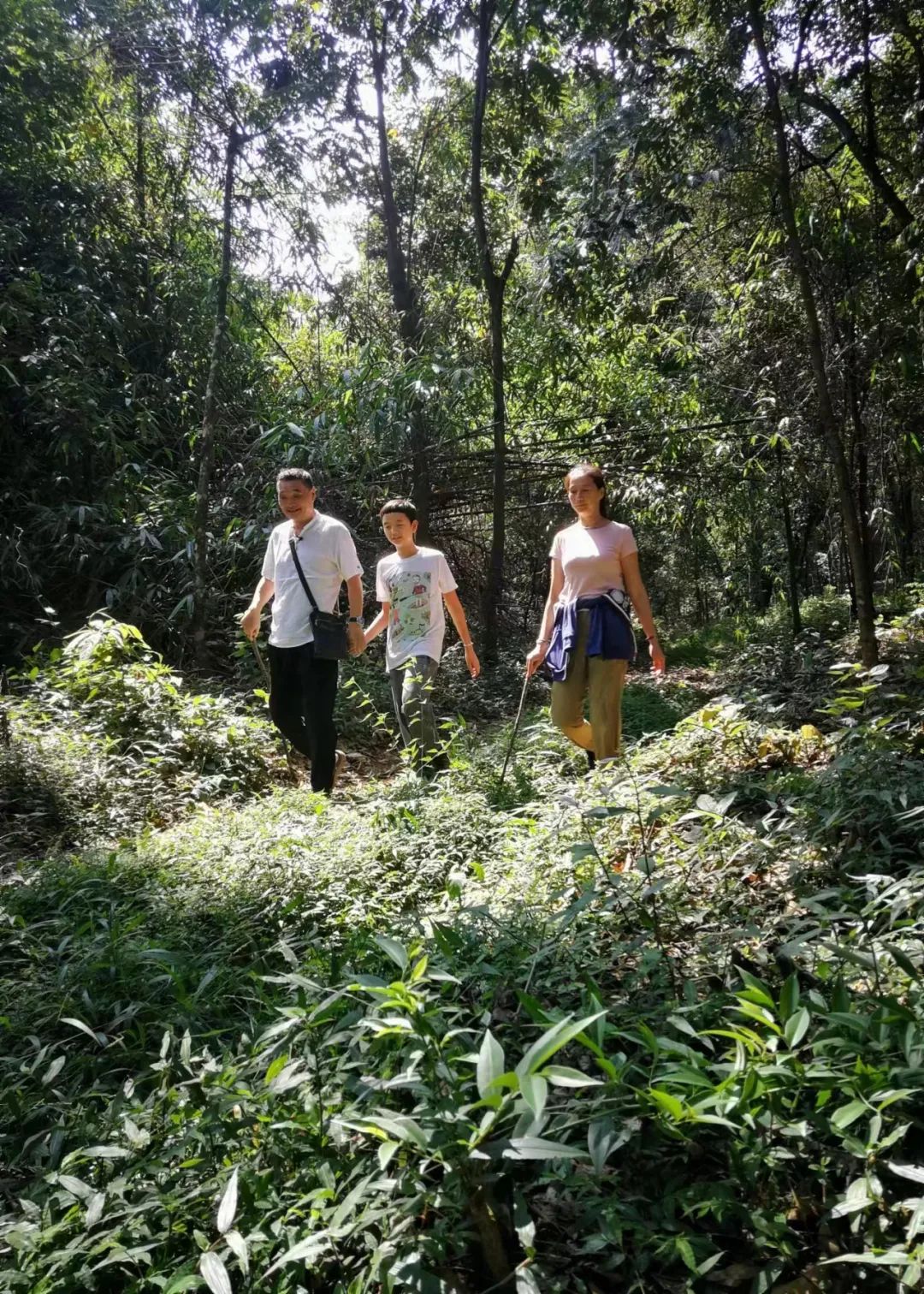 城堡里的马原把作家推向审判台,城堡里的马原