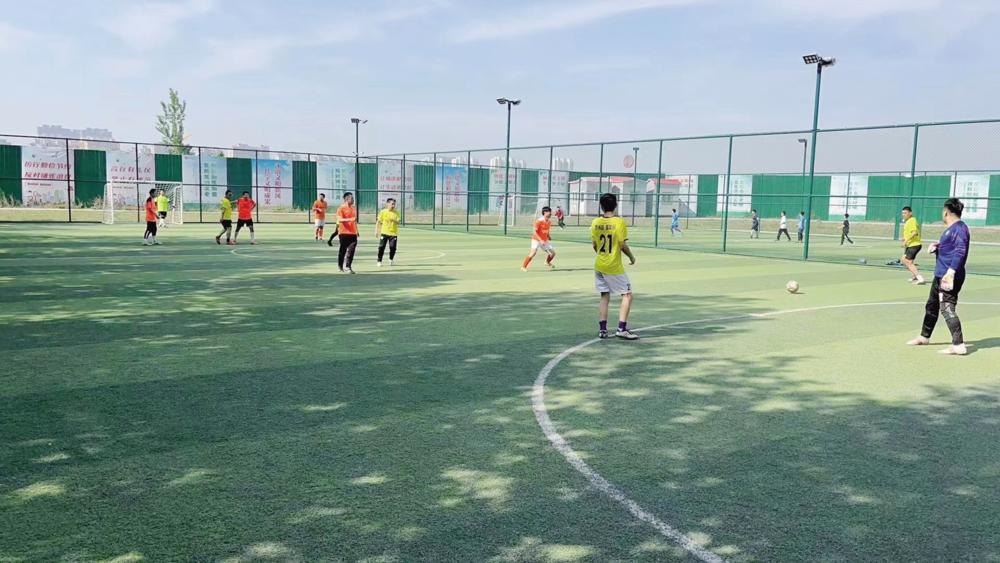 体育设施更新换代,聊城体育公园升级改造