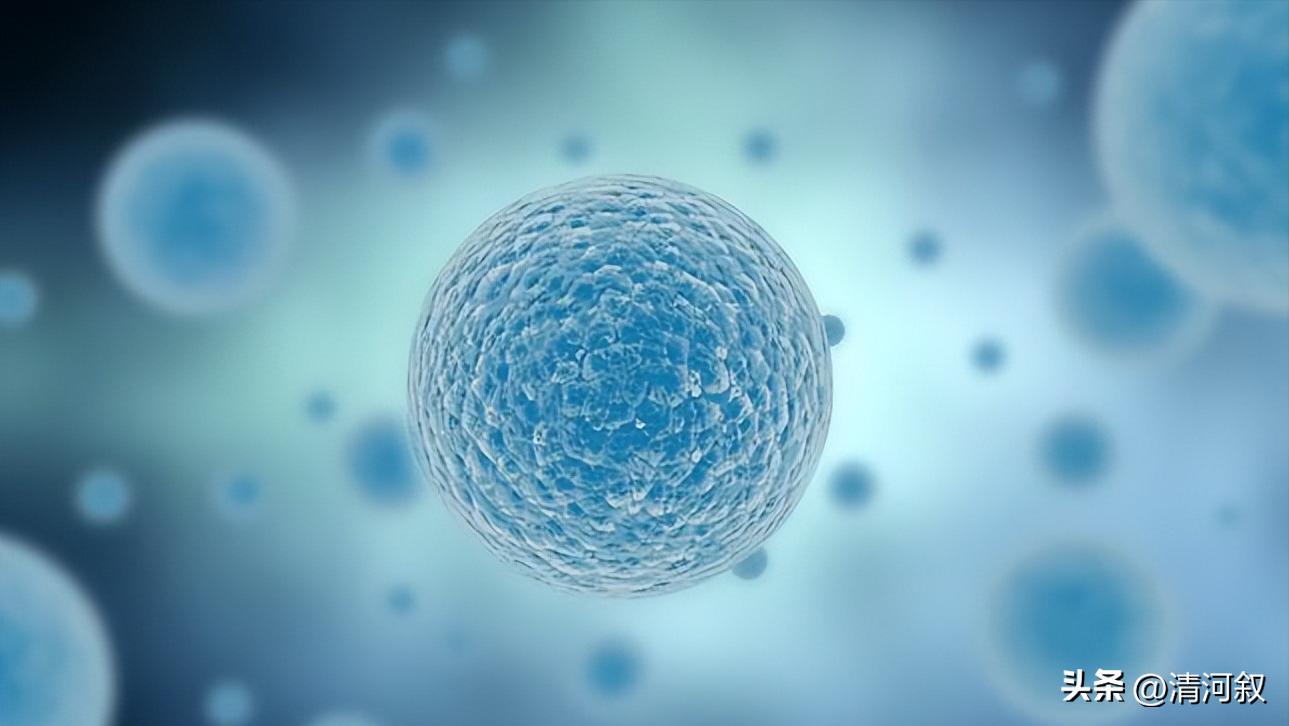 纳米铁粉可以吸附重金属离子,磁铁矿纳米颗粒是什么