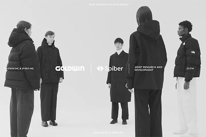 华英鸭业集团怎么重组的,华英公司重组最新消息