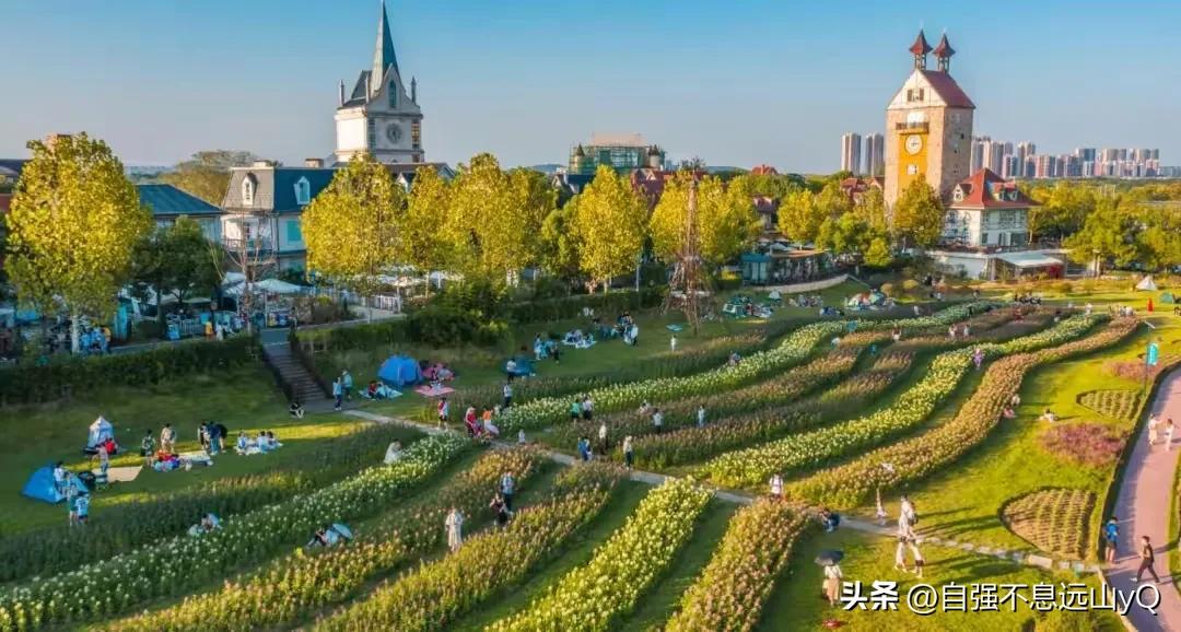 李铁足球生涯最大成就,李铁亚洲杯成绩