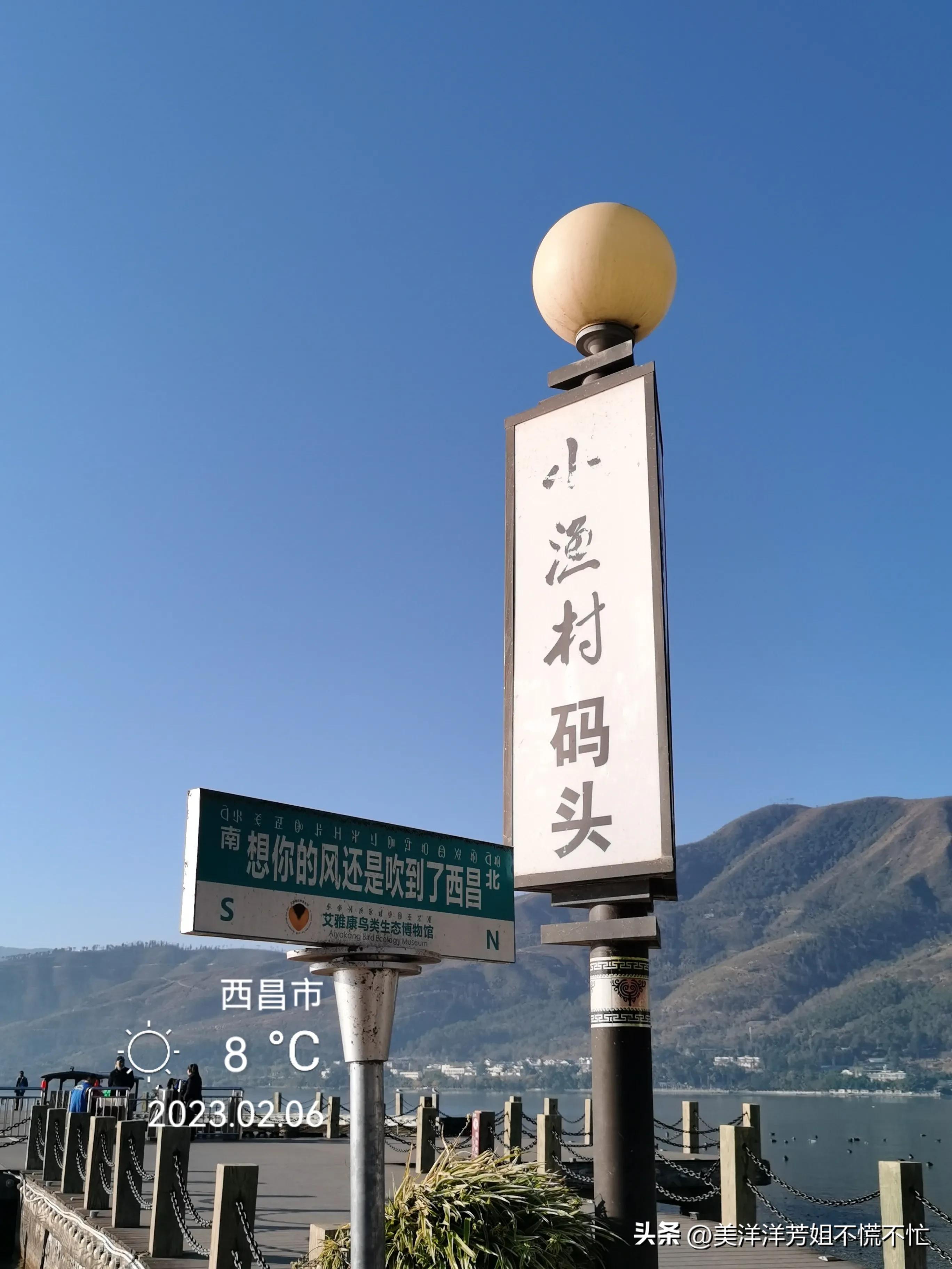 西昌邛海什么时候有海鸥,冬季去西昌邛海喂海鸥