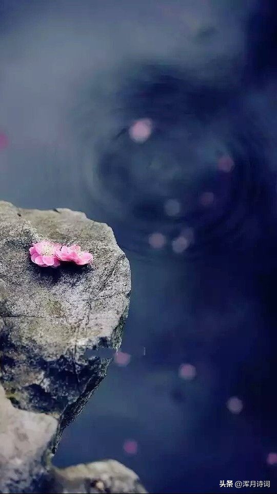 二十首关于风的诗句,二十句关于风的诗句