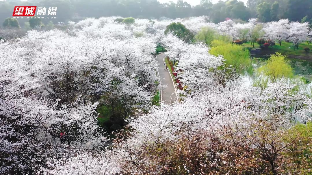 带你领略长沙县,一分钟感受长沙