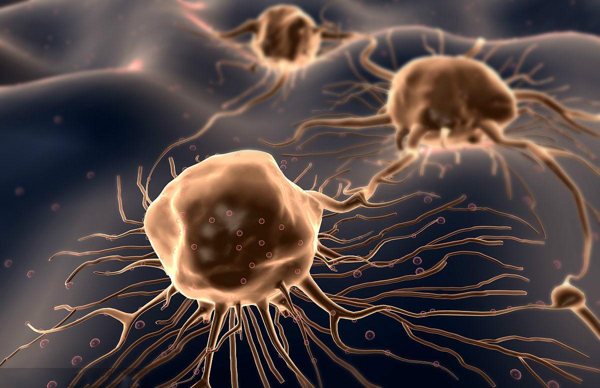 血常规炎性指标明显升高,新生儿血常规各项指标升高