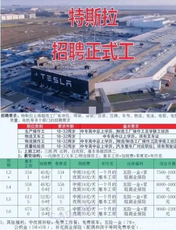 特斯拉招聘条件要求硕士专业,特斯拉大专生招聘条件要求