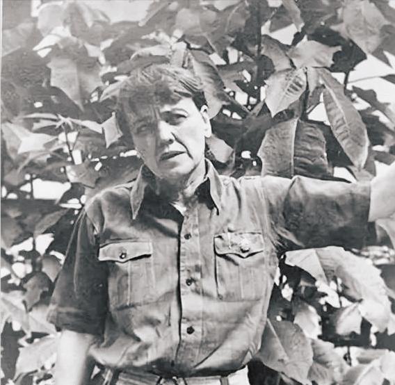 *德朱**9万海外巨款多年未动，大使馆不知道如何处理，向副主席请示