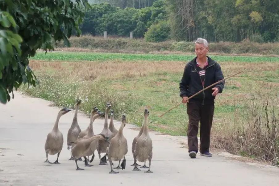 农民被警察抓走了后续,陕西一村民被查处