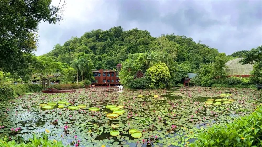 坐上动车去赴约，一起“水水水”吧！