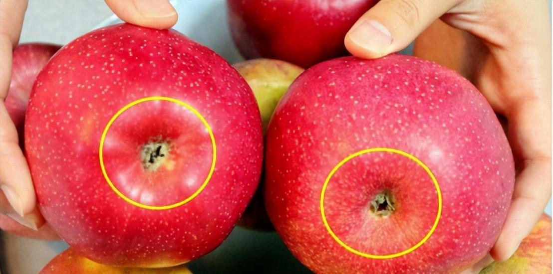 如何挑选最甜的苹果,挑选芒果别被忽悠了牢记这5点