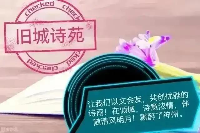 悄悄凋零的花瓣飘然落下的叶片压弯枝头的石榴